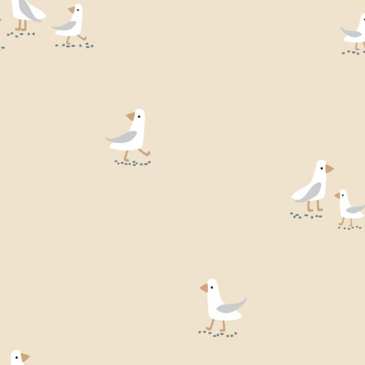 Steps newbornhoes | Seagull sand